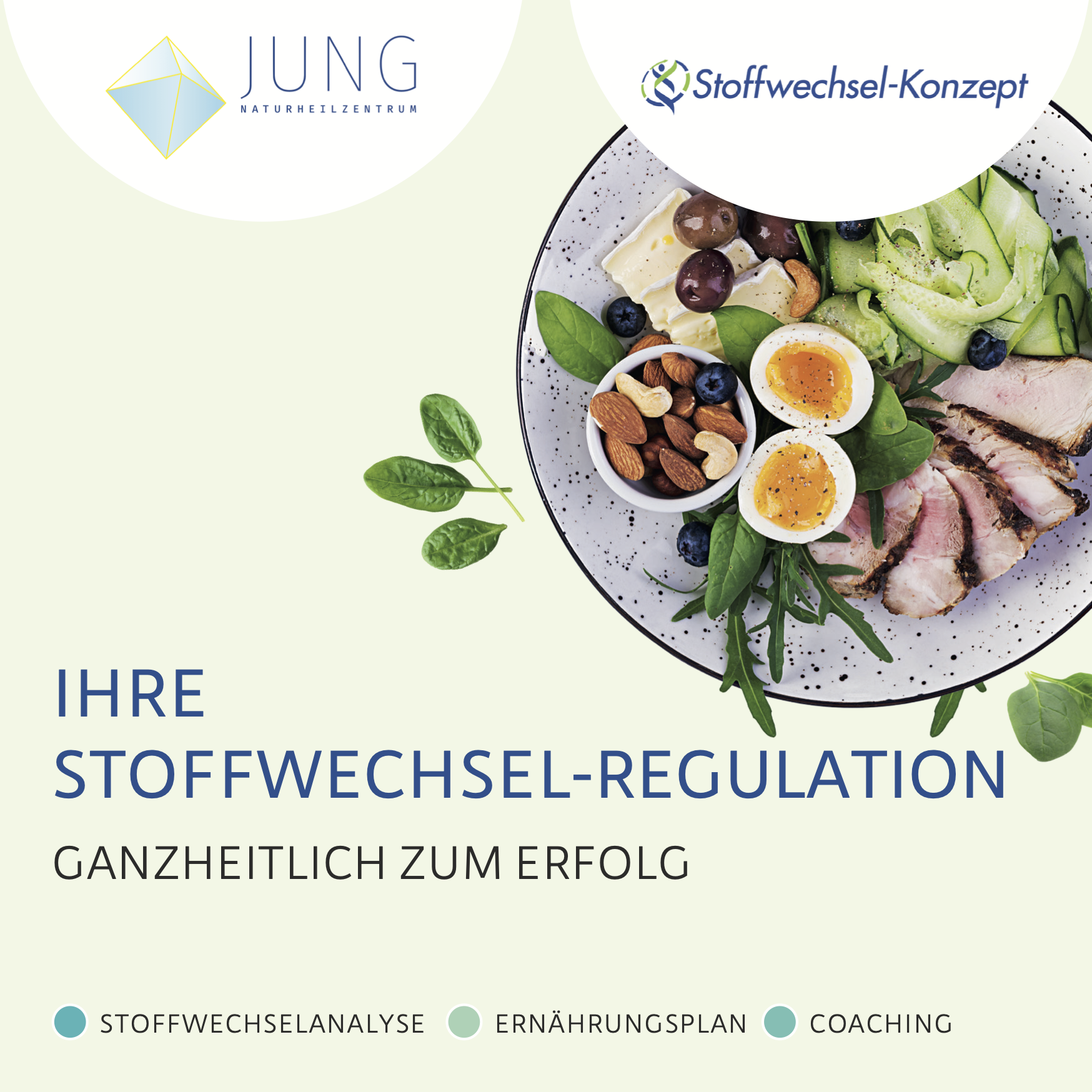Stoffwechsel Flyer
